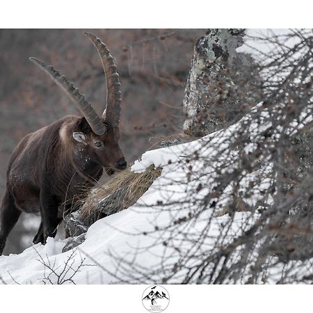 Appartamento Lo Bou Вальсаваранш Екстер'єр фото