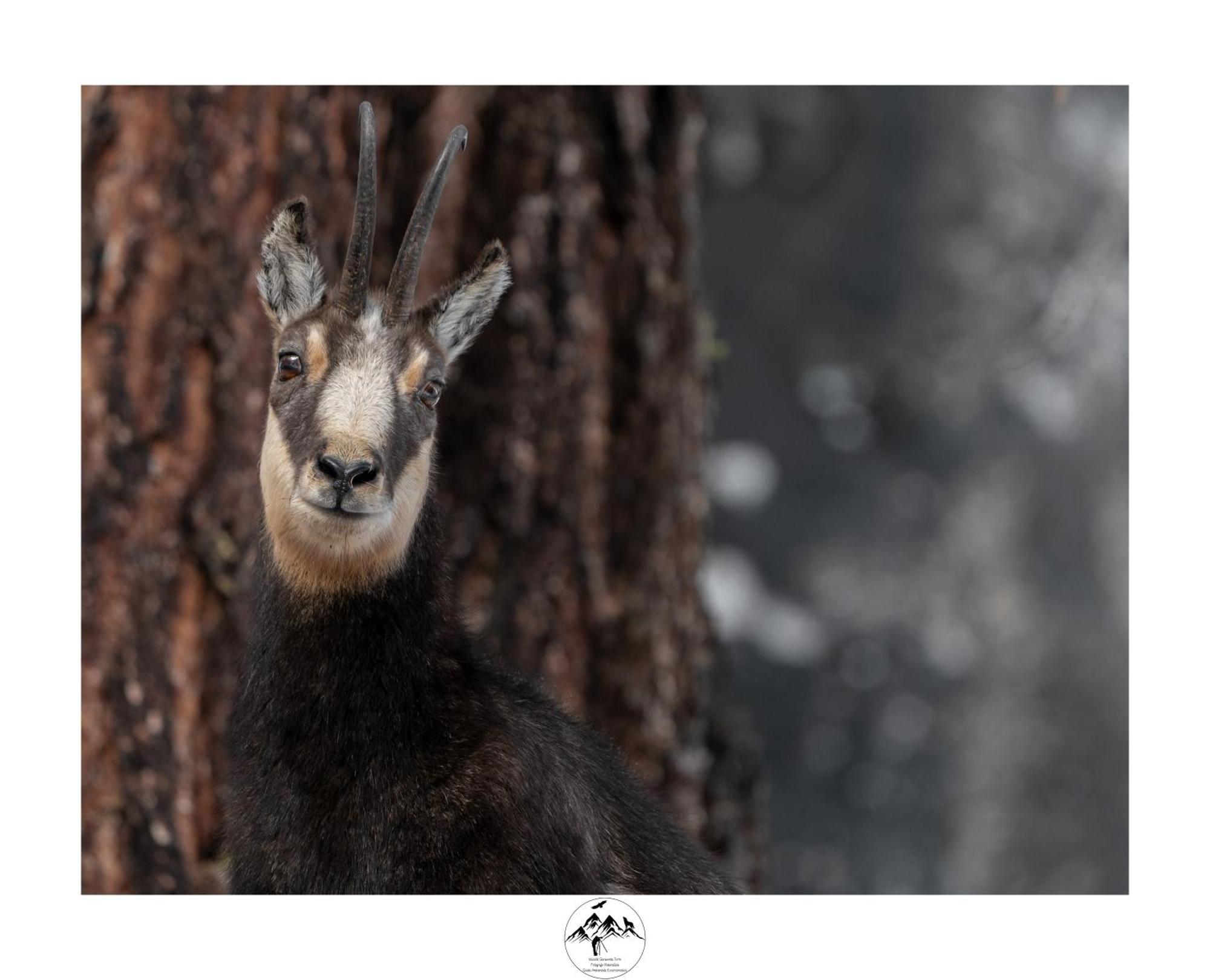 Appartamento Lo Bou Вальсаваранш Екстер'єр фото